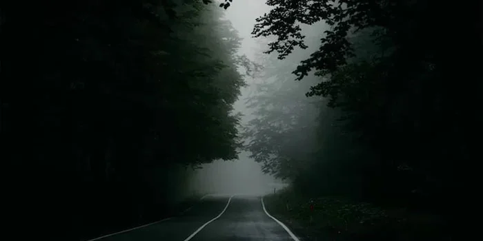 Alas-Baluran-Tempat-Paling-Terkenal-Akan-Keangkerannya