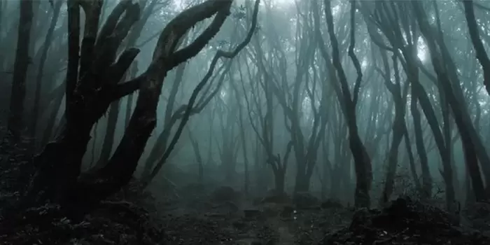 Alas-Roban-Hutan-Yang-Dipenuhi-Berbagai-Cerita-Miseteri-Dan-Angkernya1