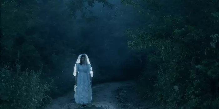 Alas-Roban-Hutan-Yang-Dipenuhi-Berbagai-Cerita-Miseteri-Dan-Angkernya3