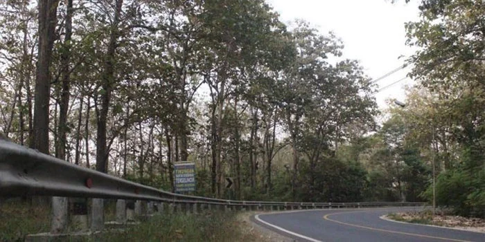 Hutan-Jati-Blora