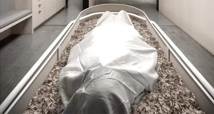 Kisah Hotel Di, Tibet Ada Mayat Di Bawah Ranjang Kamar