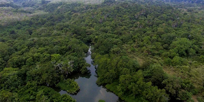 Leuweung-Sancang-Hutan-Angker-Dengan-Berbagai-Kejadian-Mistisnya