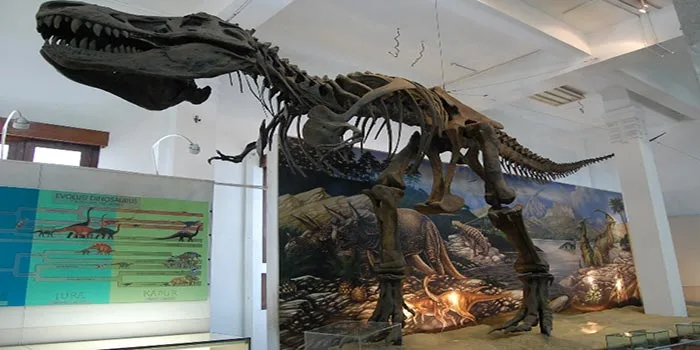 Museum-Geologi-Wisata-Sambil-Belajar-Sejarah-Museum
