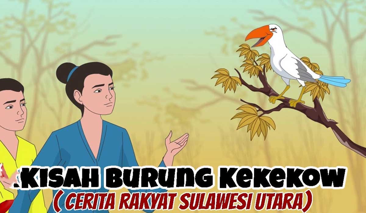 Burung Kekekow, Keindahan Langka dan Ikon Alam Sulawesi Utara